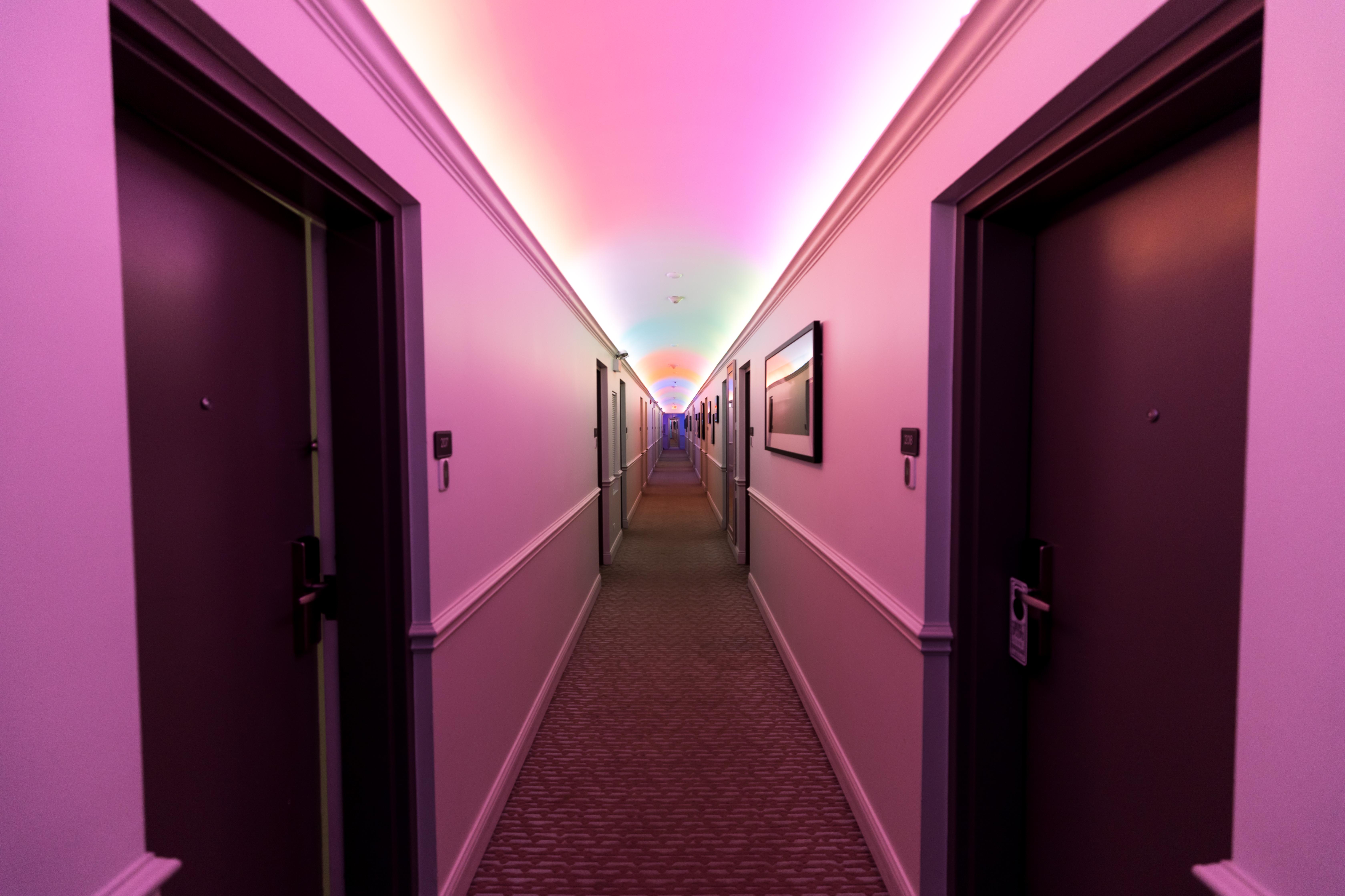 Hotel Chicago West Loop, Surestay Collection By Best Western Інтер'єр фото